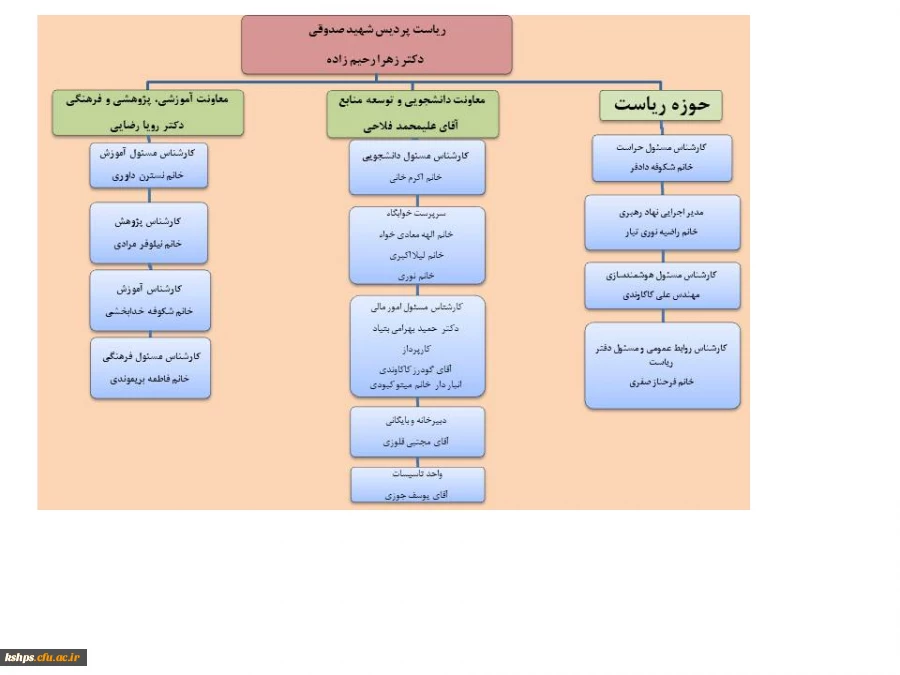 ساختار سازمانی 2