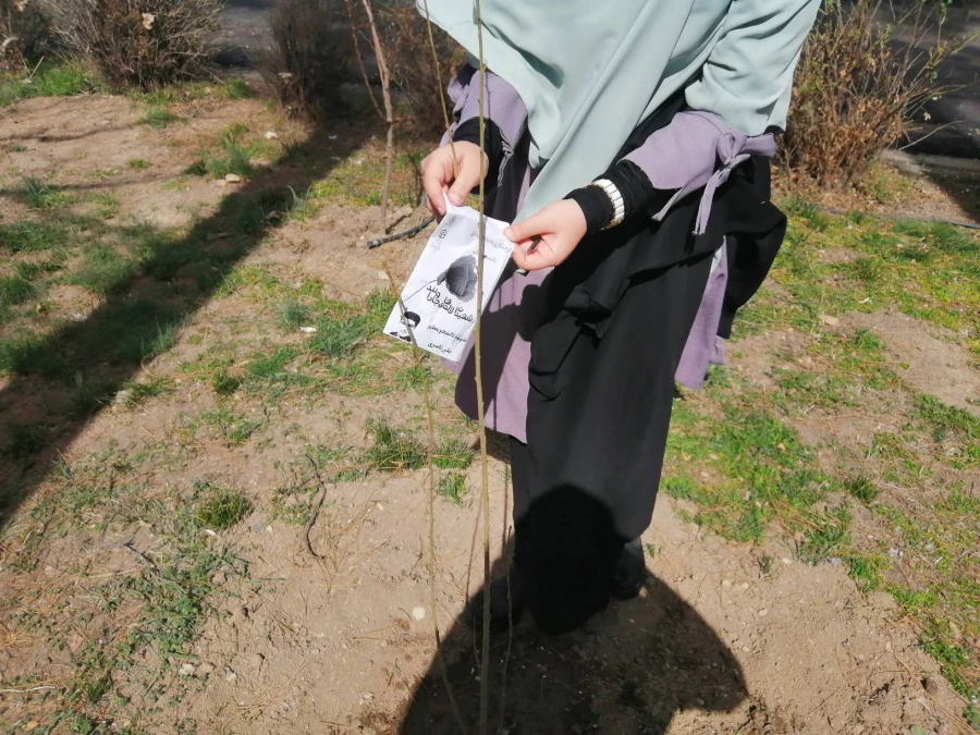 مراسم درختکاری به یاد شهدای دانشجو معلم مرکز 2