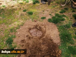 مراسم درختکاری به یاد شهدای دانشجو معلم مرکز 7