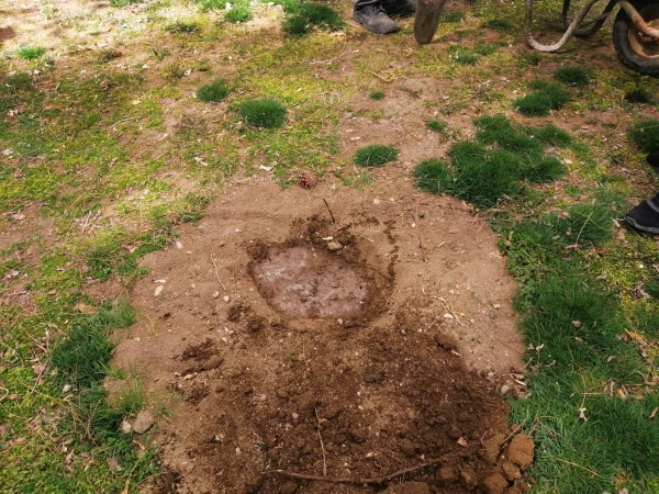 مراسم درختکاری به یاد شهدای دانشجو معلم مرکز 7