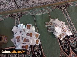 اعزام دانشجومعلمان دختر پردیس شهید صدوقی به اردوی راهیان نور 8