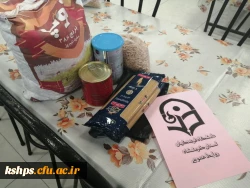 پویش بهار مهربانی (جمع آوری کمک های مومنانه و تهیه  بسته های معیشتی) 2