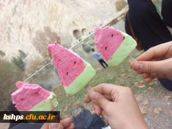  اردوی تفریحی_تشکیـلاتی دانشجویی(بازدید از طاقبستان و تکیه معاون الملک) 9