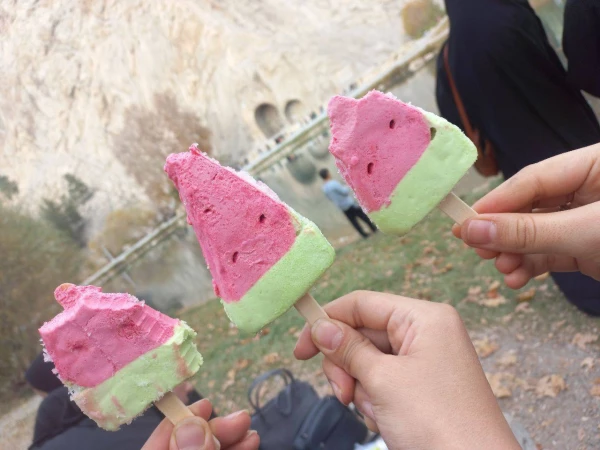  اردوی تفریحی_تشکیـلاتی دانشجویی(بازدید از طاقبستان و تکیه معاون الملک) 9