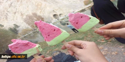 به مناسبت روز دانشجو برگزار شد:

 اردوی تفریحی_تشکیـلاتی دانشجویی(بازدید از طاقبستان و تکیه معاون الملک)