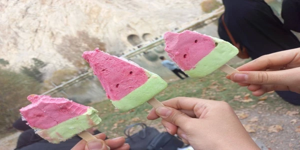  اردوی تفریحی_تشکیـلاتی دانشجویی(بازدید از طاقبستان و تکیه معاون الملک) 2