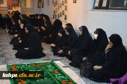 خوش آمدی عزیزبرادرم 4