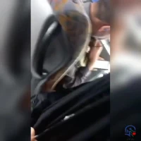 یادمان دوم : *طلائیه* 2