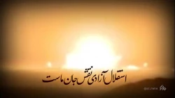 VID_20230331_233643_512